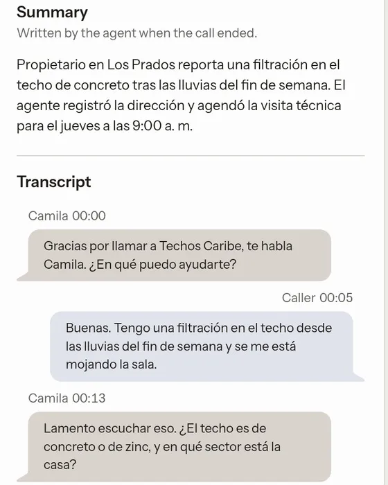 A Teldash call summary and transcript in Spanish